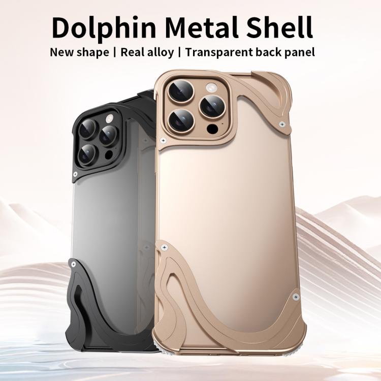 Funda para iPhone 16 Pro Max Panel Trasero Transparente HĂbrido PC y Metal (Plateada)