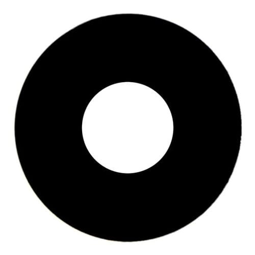 Lente Cámara Trasera Apple iPad Mini 6 (2021)