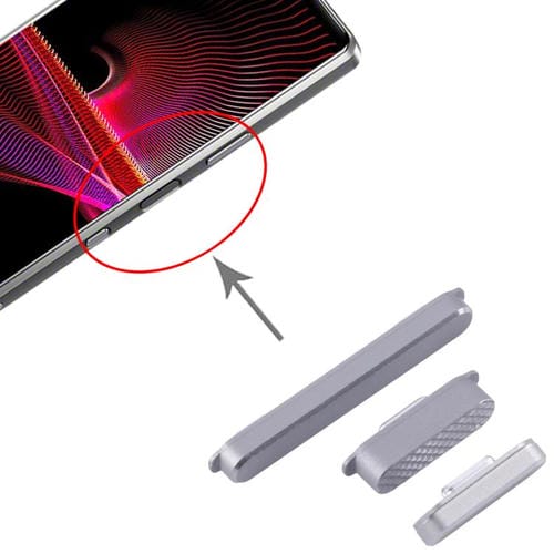 Pulsante di accensione e controllo del volume originale Sony Xperia 1 III (Grigio)