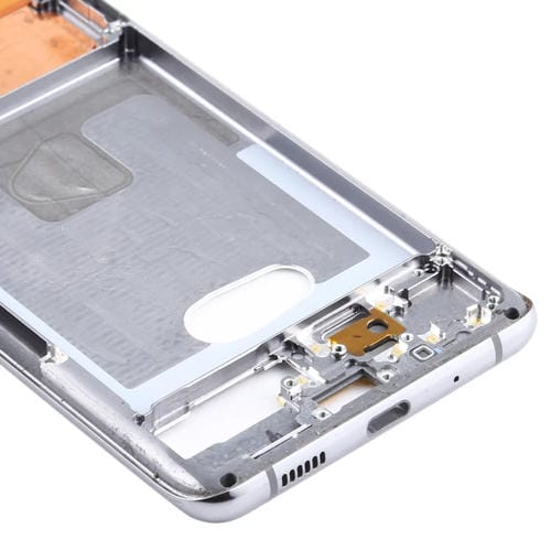 Placa de Bisel de Marco Medio Samsung Galaxy S20+ (Gris)