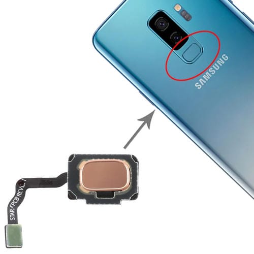 Cable Flex con Sensor de Huellas Dactilares Samsung Galaxy S9 / S9+ (Oro)