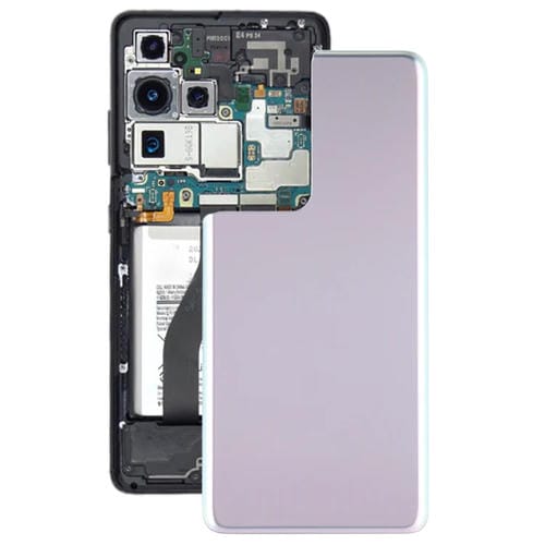 Coperchio Posteriore della Batteria Samsung Galaxy S21 Ultra 5G (Argento)