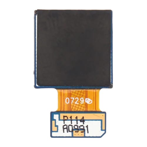 Câmara Traseira Samsung Galaxy M31s SM-M317