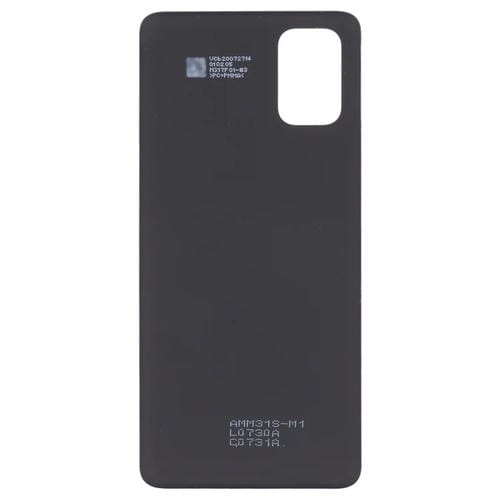 Coperchio Posteriore Samsung Galaxy M31s 5G SM-M317F della Batteria (Blu)