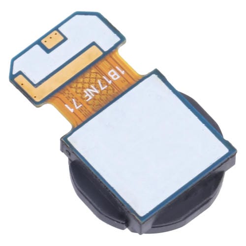 Câmara Larga Samsung Galaxy A53 5G SM-A536B