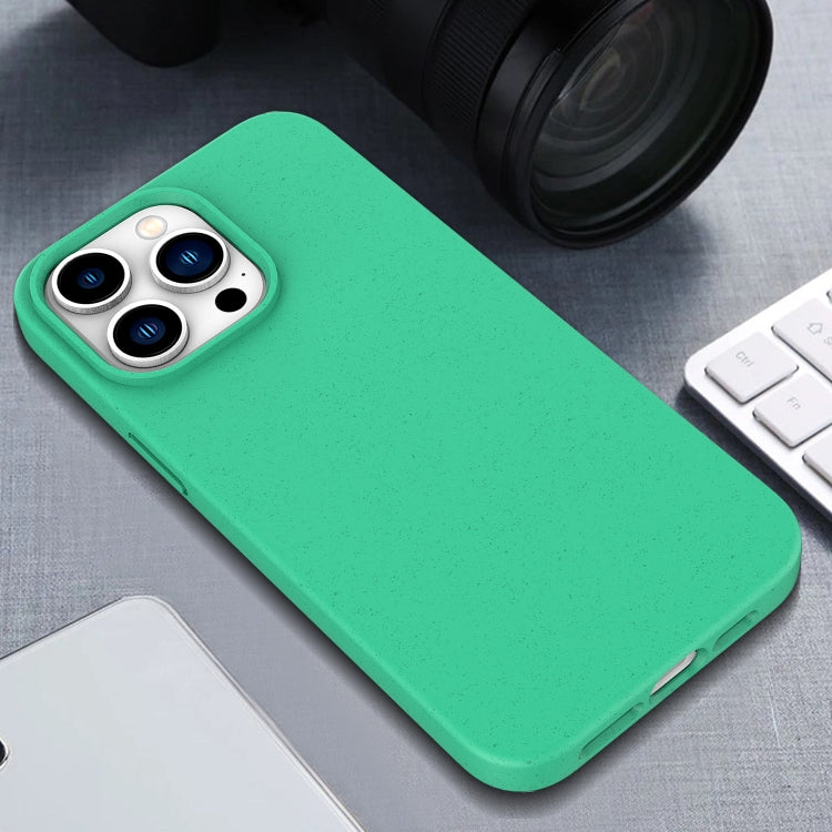 Funda TPU con Paja de Trigo para iPhone 16E (Negra)