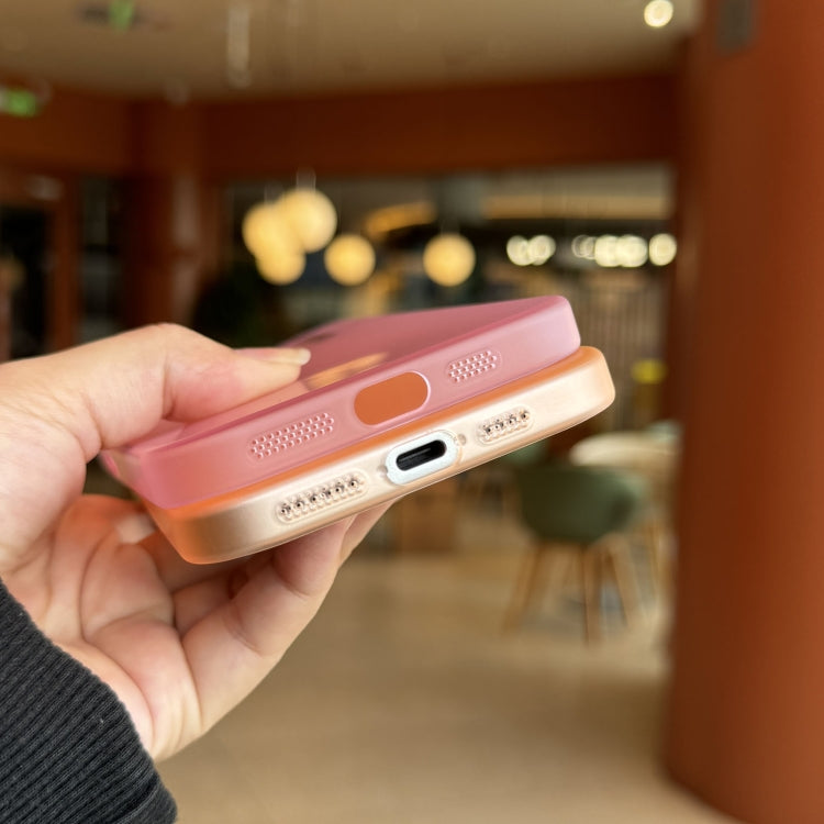 Funda para Teléfono PC Translúcida Tacto Piel Arena para iPhone 11 Pro (Negra)