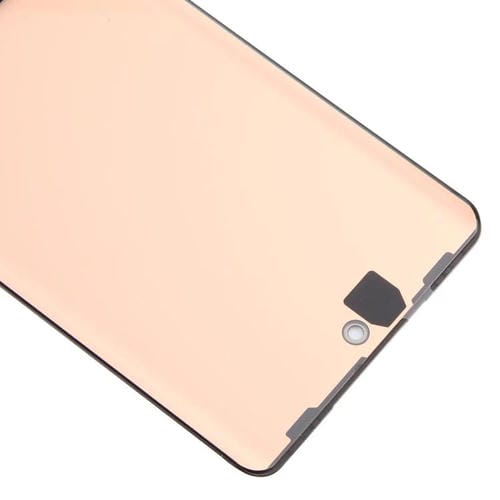 Full Screen OLED Vivo X100 Pro and Fingerprint Sensor