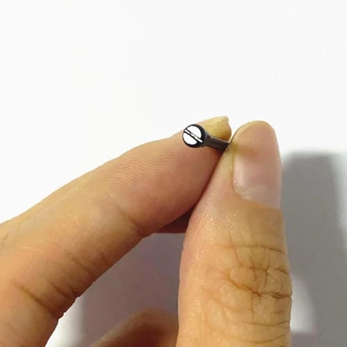 Cinghie testa piatta Amazfit T-Rex con cacciavite (Nero)