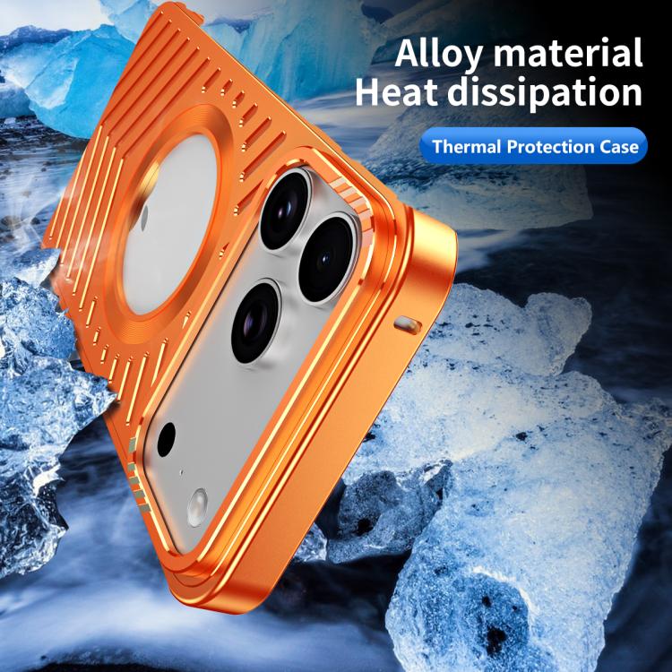 EDA0088267_B6.jpg@1a3404c9c927ab212baca49a498669d3