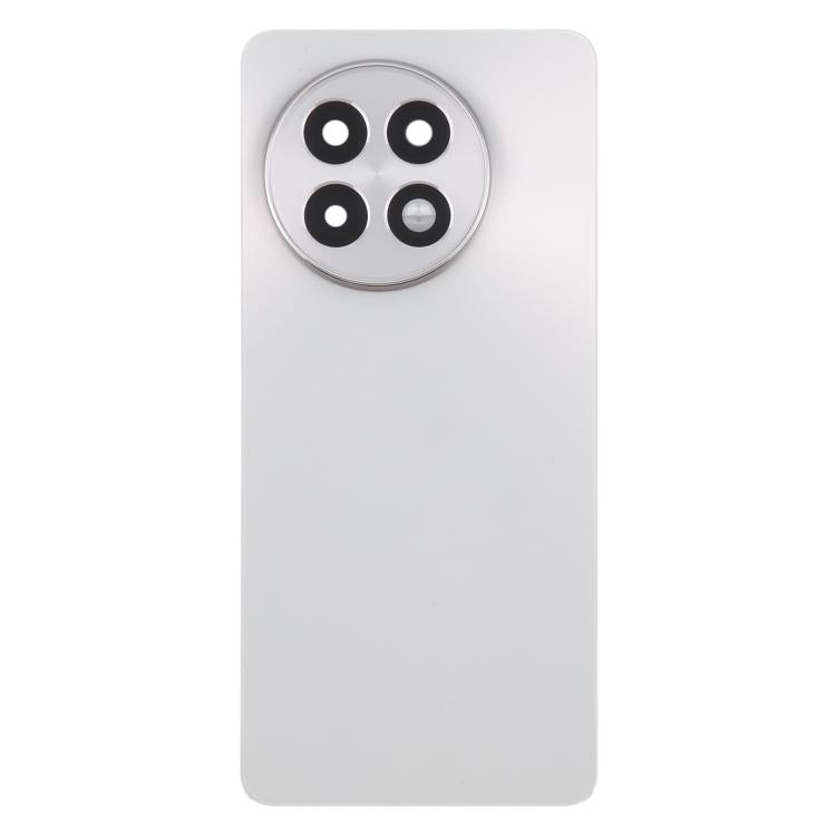 Coperchio posteriore della batteria in vetro OnePlus 13R CPH2645 CPH2691 CPH2647 (Argento opaco)
