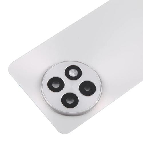 Rückseite Batterieglasabdeckung OnePlus 13R CPH2645 CPH2691 CPH2647 (Matt Silber)