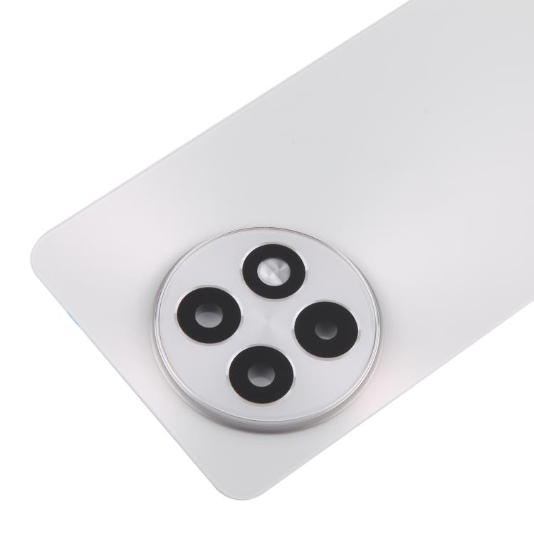 Coperchio posteriore della batteria in vetro OnePlus 13R CPH2645 CPH2691 CPH2647 (Argento opaco)