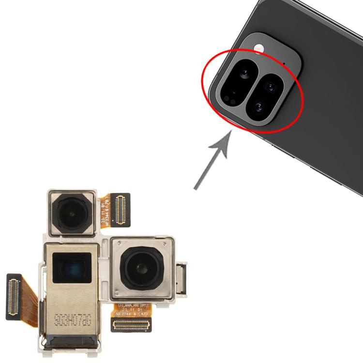 RPS0954_3.jpg@0f05f5035fca77ef556959f8eb54b61a