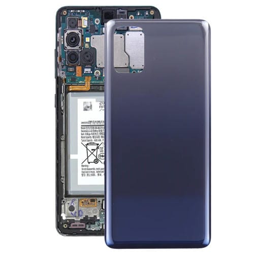 Coperchio Posteriore Samsung Galaxy M31s 5G SM-M317F della Batteria (Blu)
