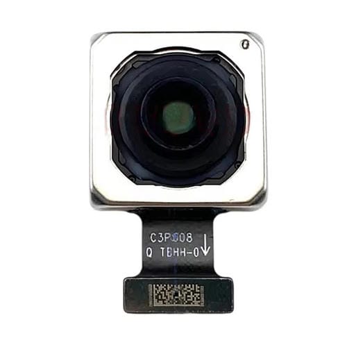 SPS9591.jpg@9bf58568eff81b97a0234b1461aa9513